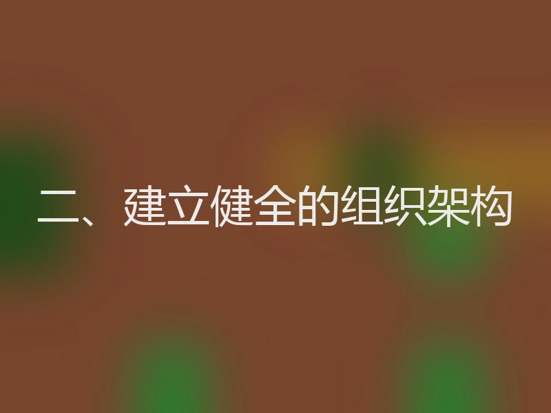二、建立健全的组织架构