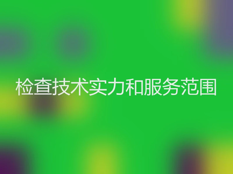 检查技术实力和服务范围