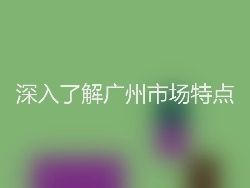 深入了解广州市场特点