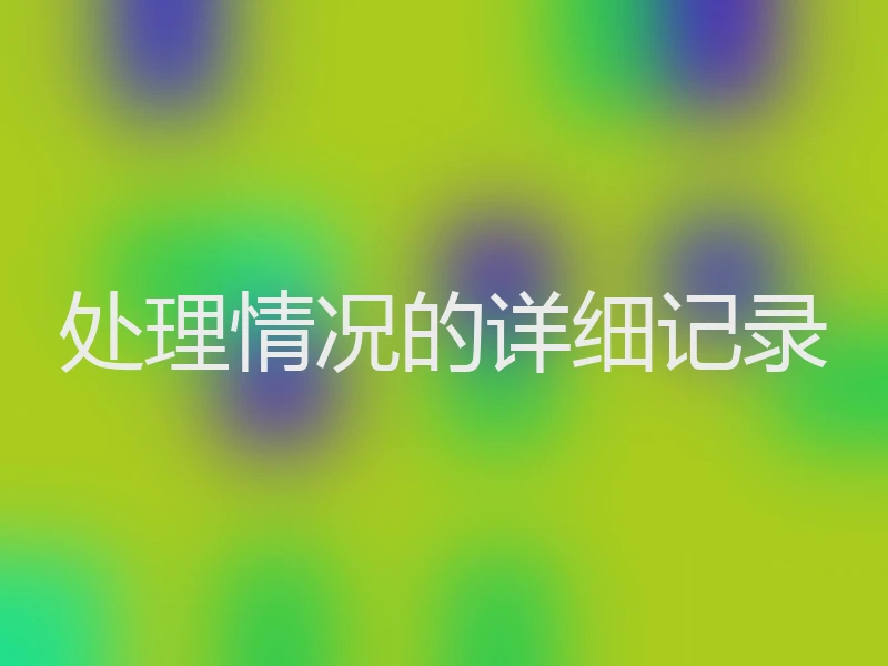 处理情况的详细记录