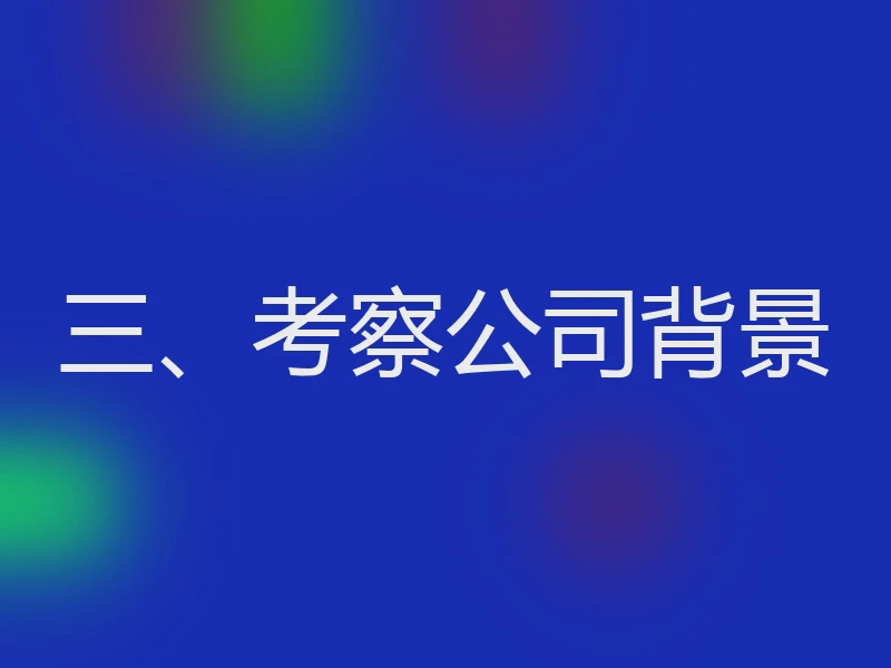 三、考察公司背景