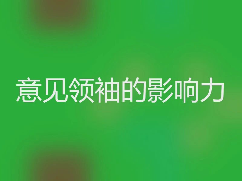 意见领袖的影响力