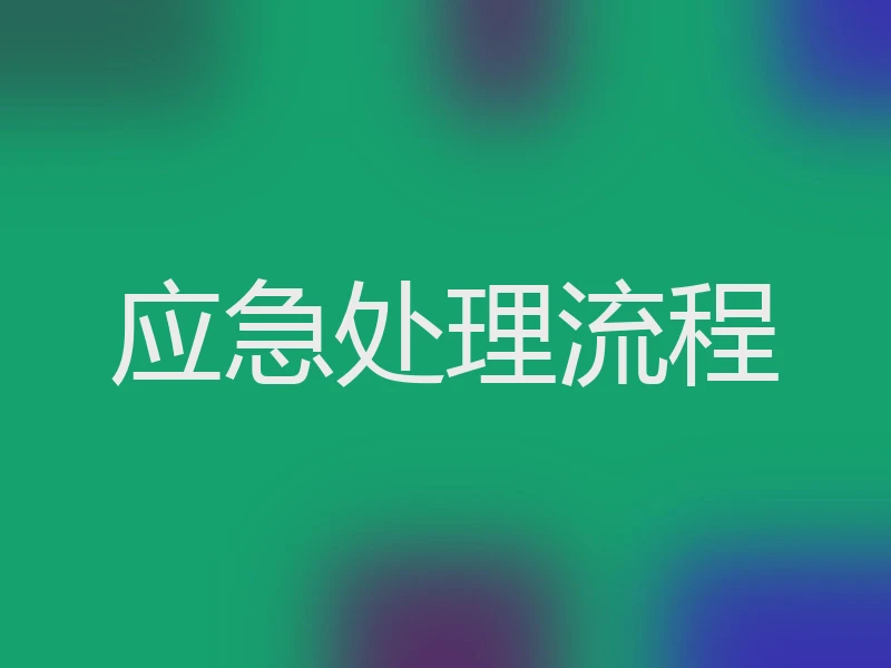 应急处理流程