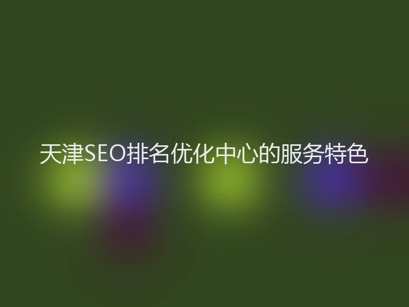 天津SEO排名优化中心的服务特色