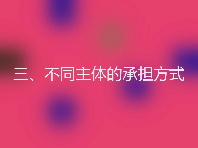 三、不同主体的承担方式