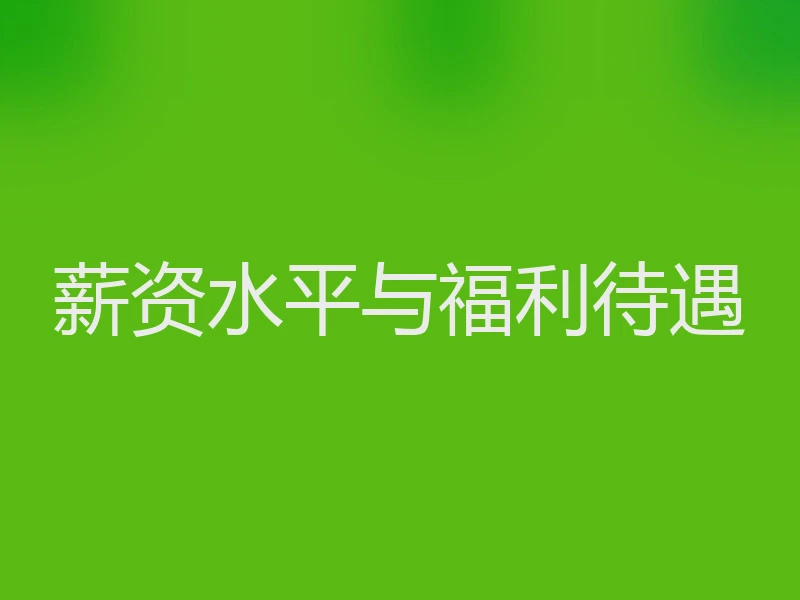 薪资水平与福利待遇