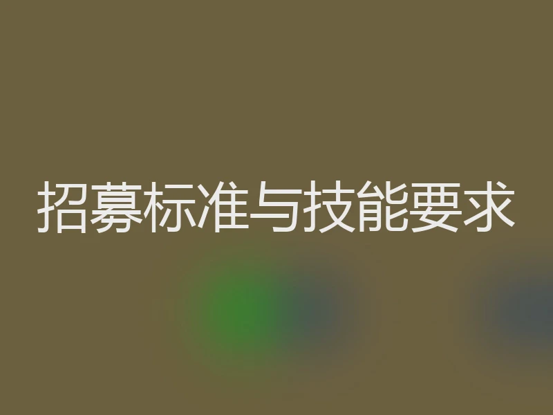 招募标准与技能要求