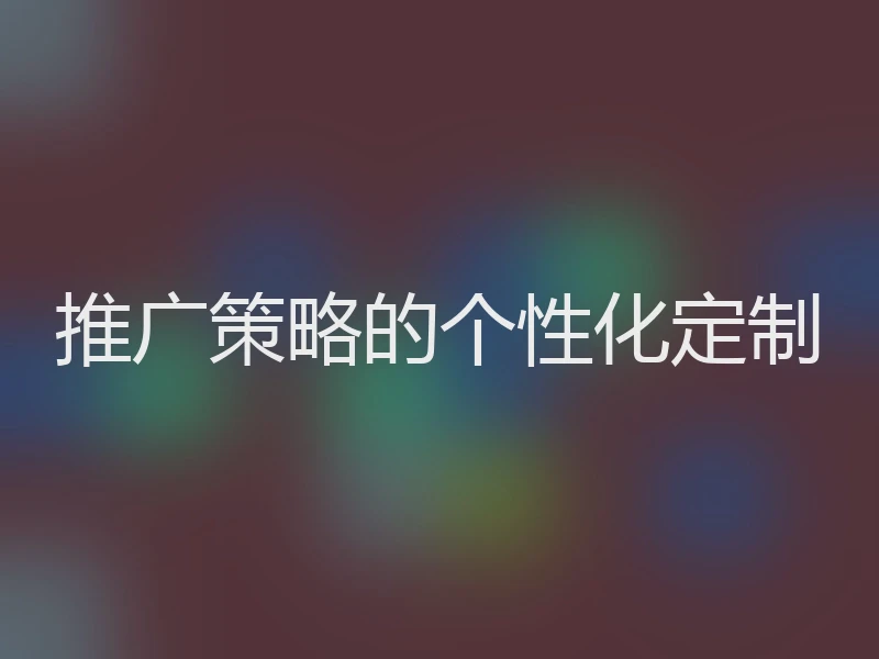 推广策略的个性化定制