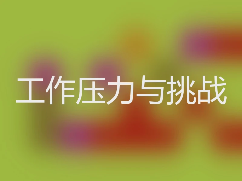 工作压力与挑战