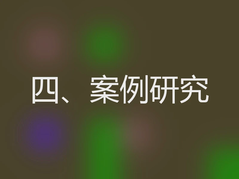 四、案例研究