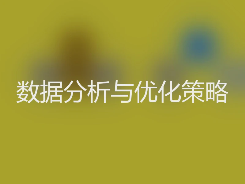 数据分析与优化策略