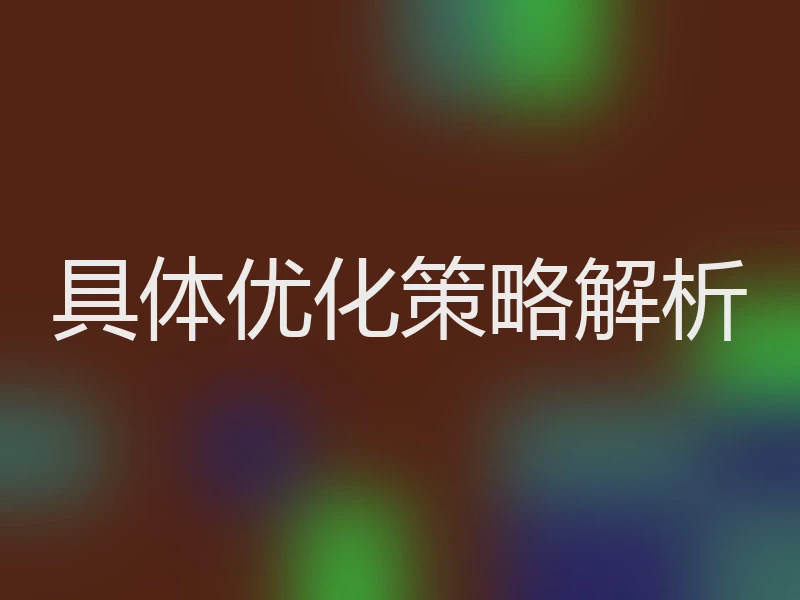 具体优化策略解析