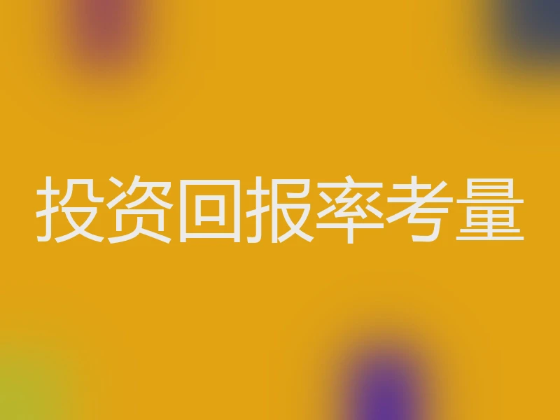 投资回报率考量