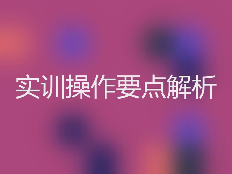 实训操作要点解析