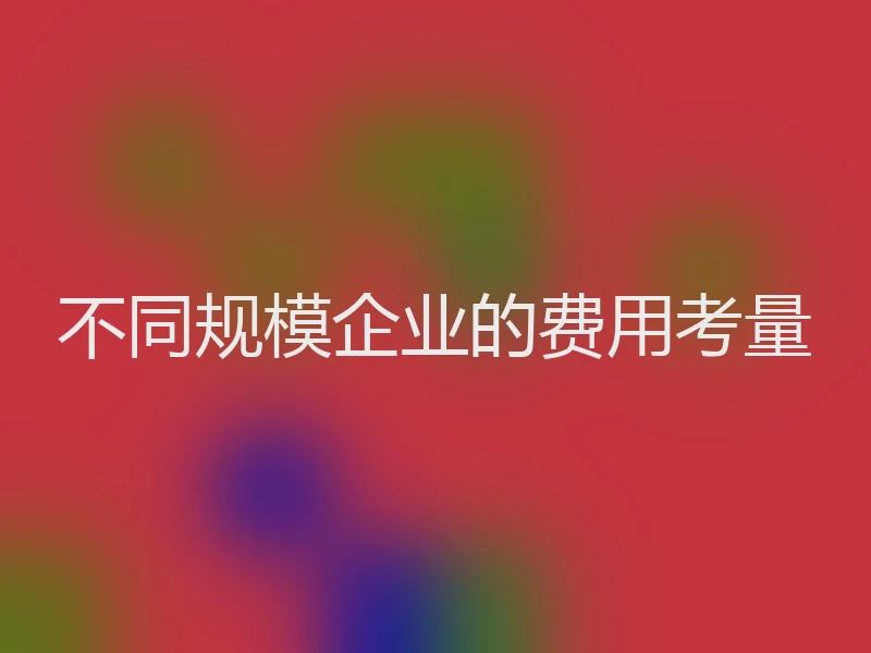 不同规模企业的费用考量