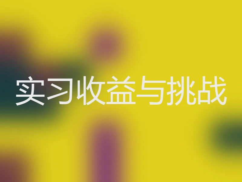 实习收益与挑战