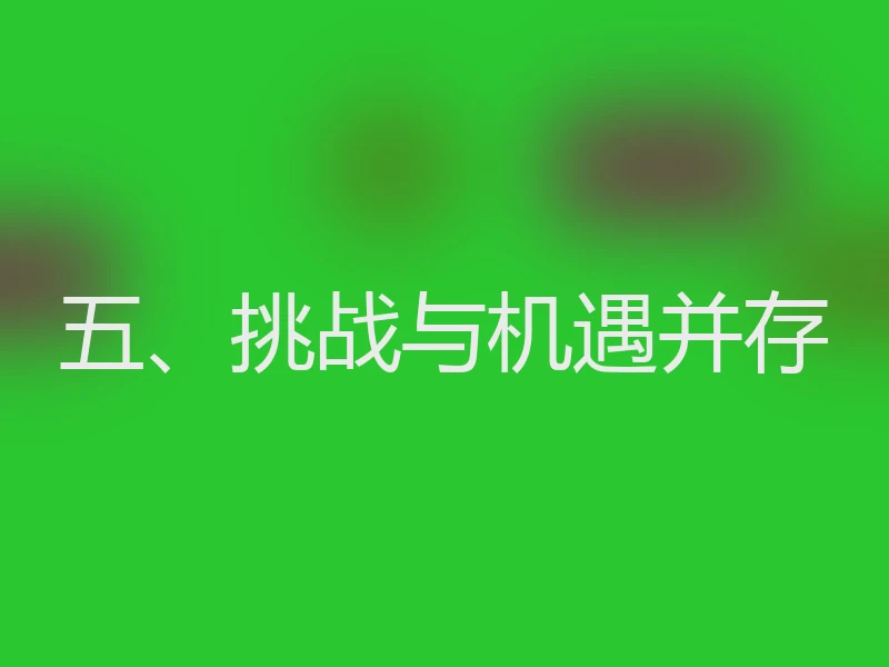 五、挑战与机遇并存