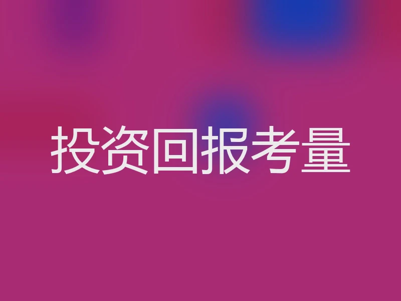 投资回报考量