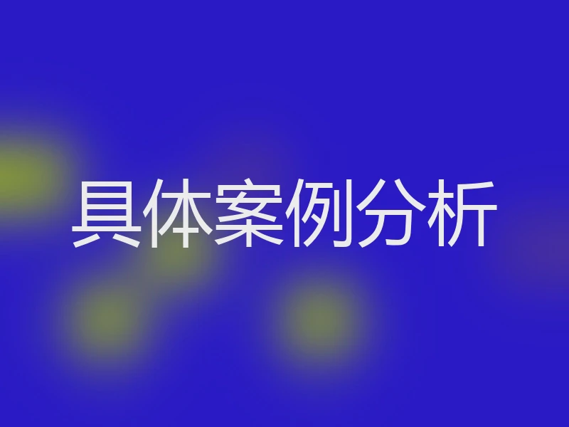具体案例分析