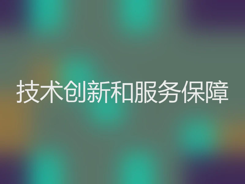技术创新和服务保障