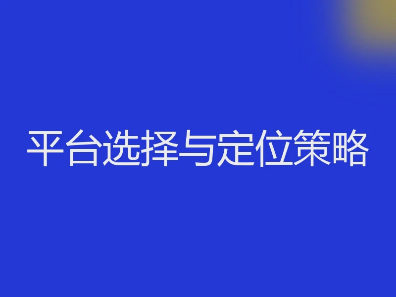 平台选择与定位策略