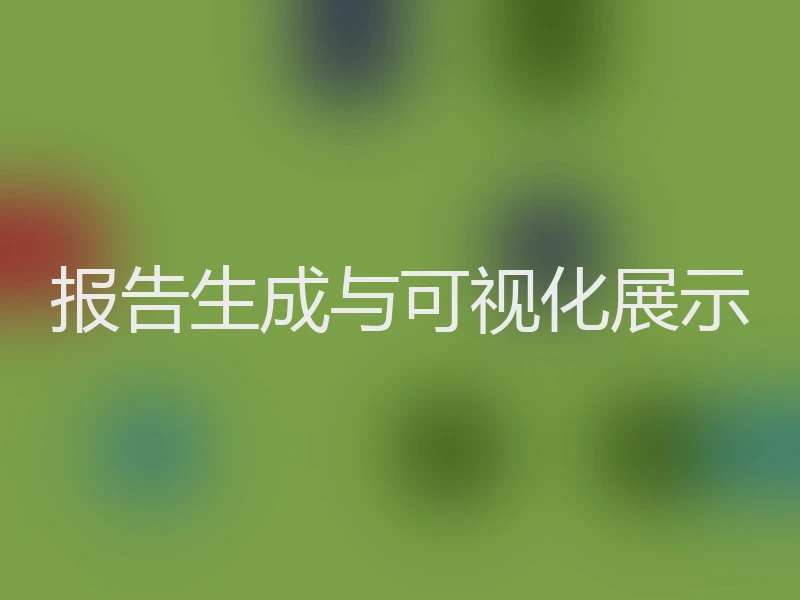 报告生成与可视化展示