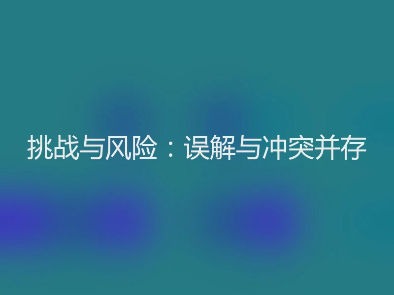 挑战与风险：误解与冲突并存