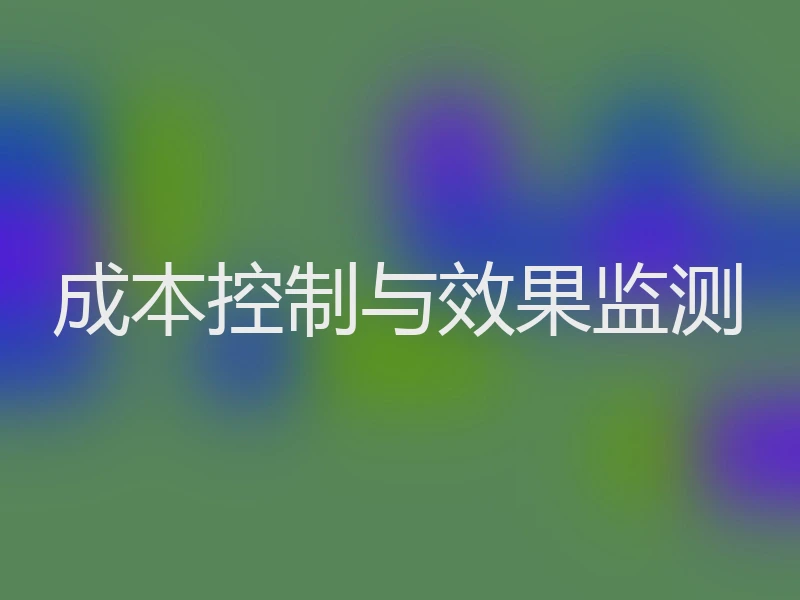 成本控制与效果监测