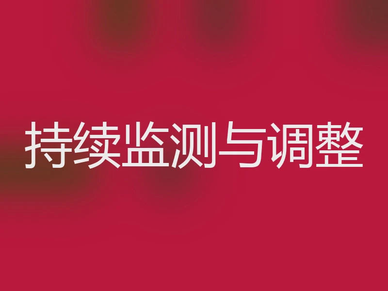 持续监测与调整