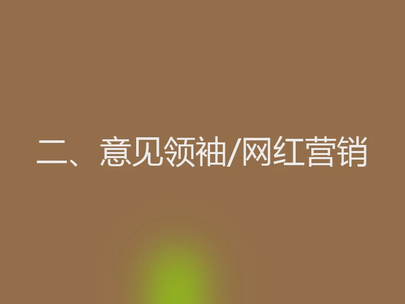 二、意见领袖/网红营销