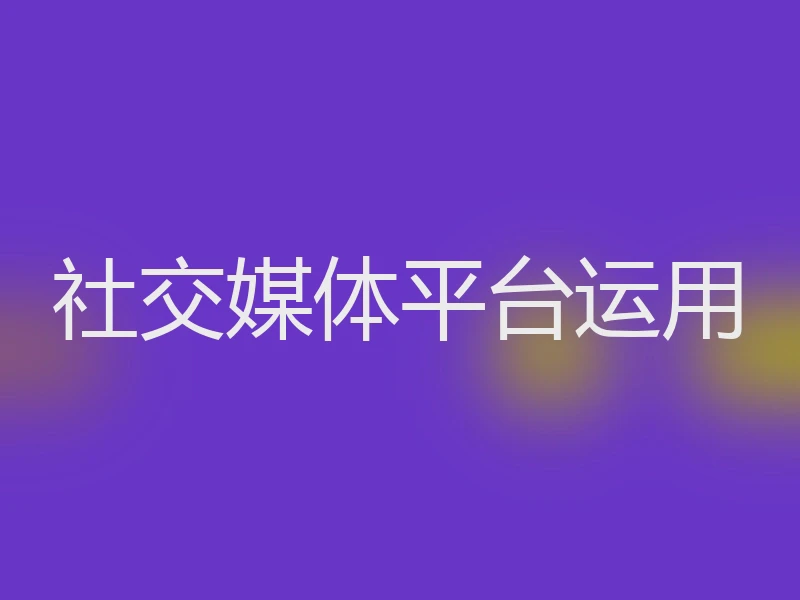 社交媒体平台运用