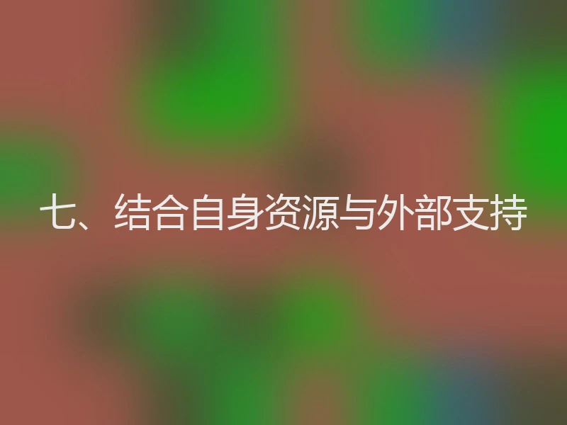 七、结合自身资源与外部支持