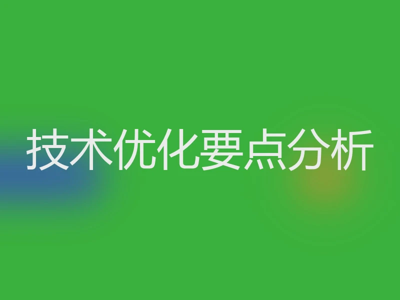 技术优化要点分析