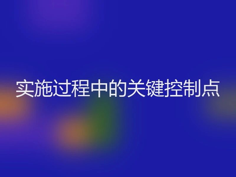 实施过程中的关键控制点