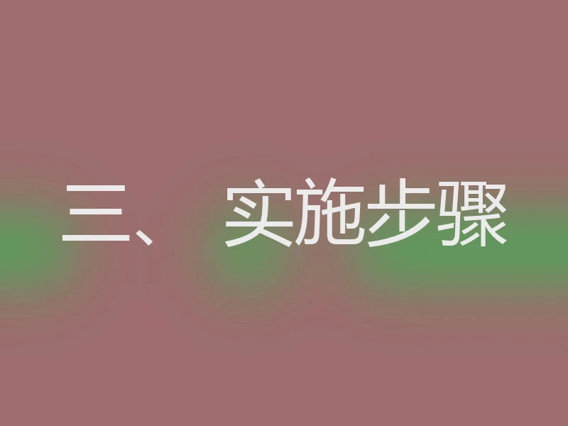 三、 实施步骤
