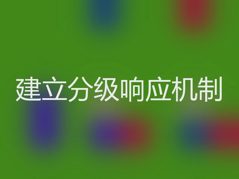 建立分级响应机制