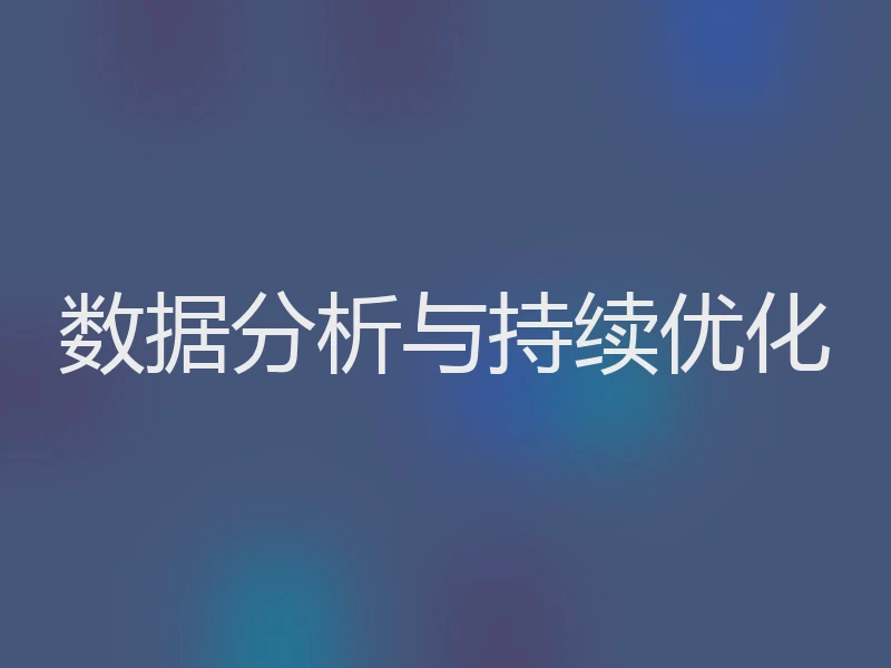 数据分析与持续优化