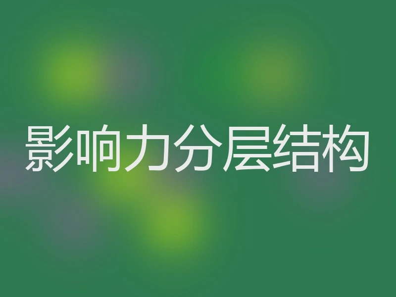 影响力分层结构