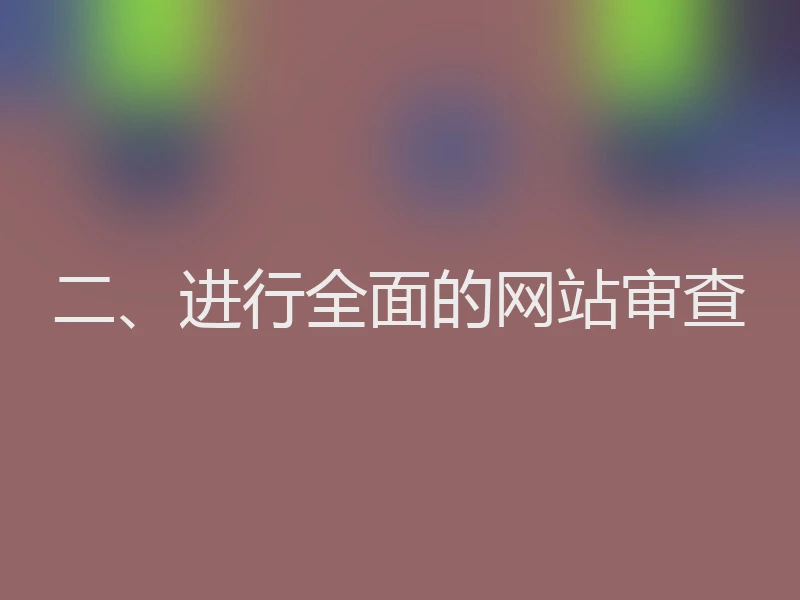 二、进行全面的网站审查
