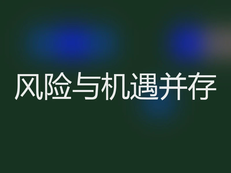 风险与机遇并存