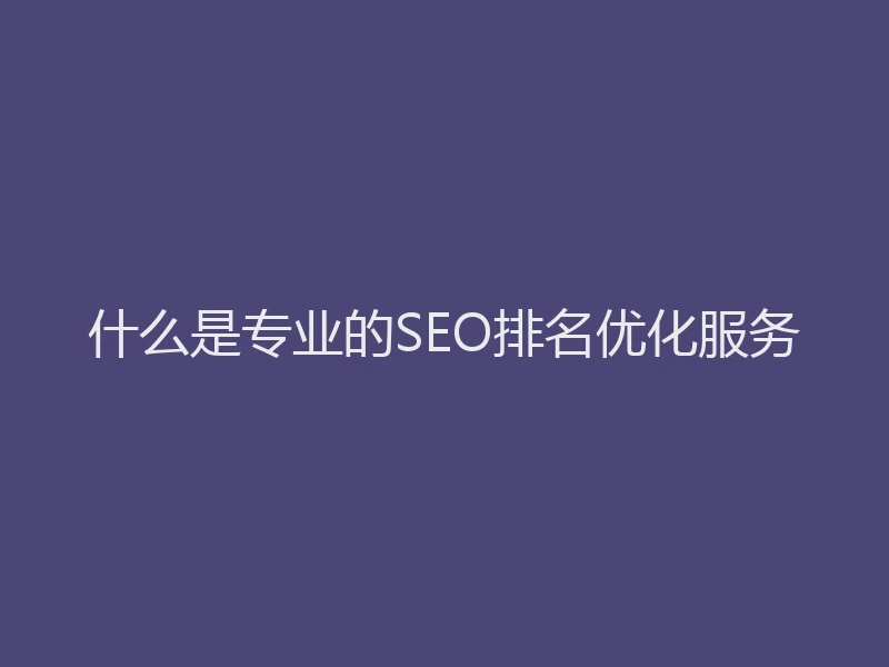 什么是专业的SEO排名优化服务