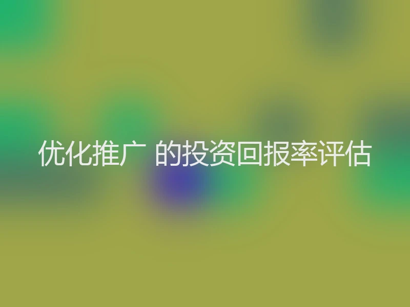 优化推广 的投资回报率评估