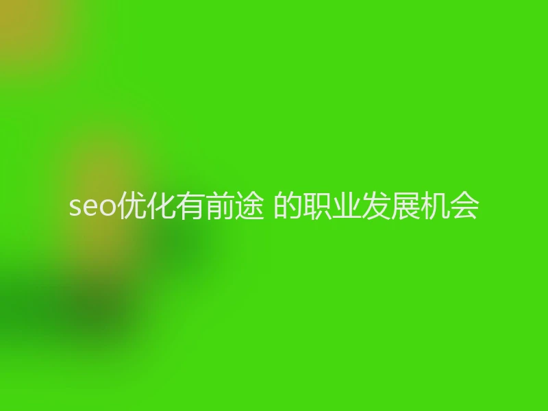 seo优化有前途 的职业发展机会