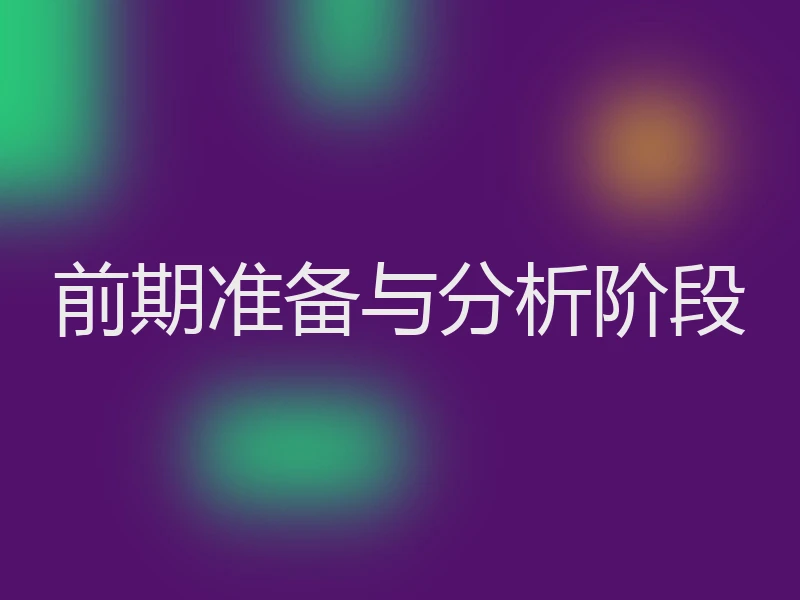 前期准备与分析阶段