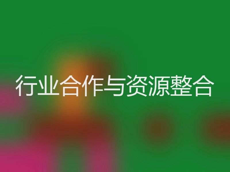 行业合作与资源整合