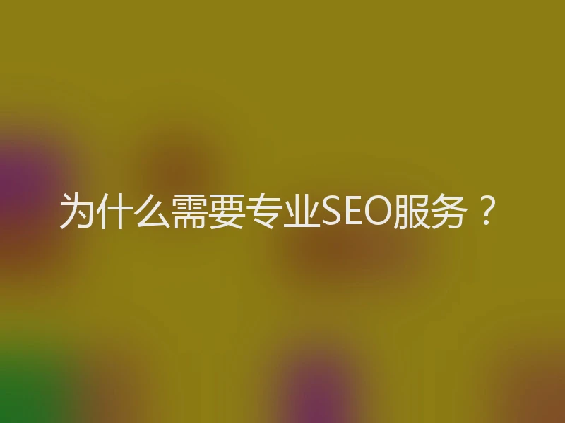 为什么需要专业SEO服务？