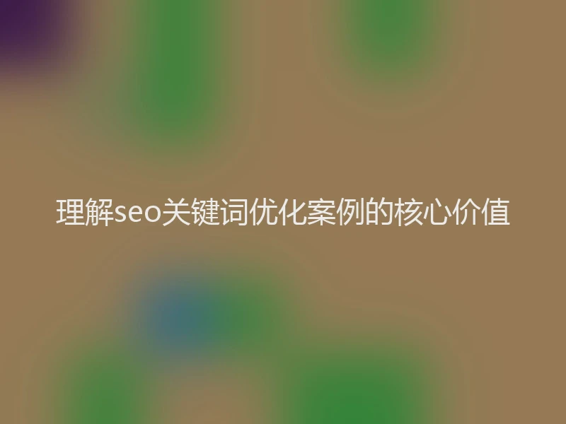 理解seo关键词优化案例的核心价值