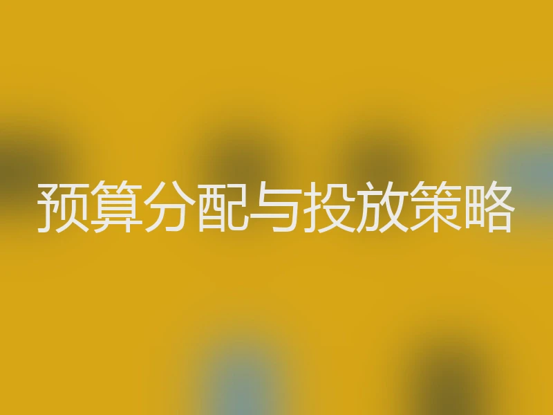 预算分配与投放策略