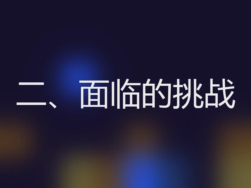 二、面临的挑战
