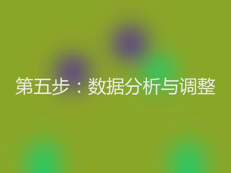 第五步：数据分析与调整